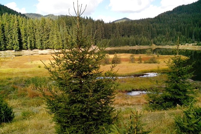Private Buggy Experience All Seasons in Pamporovo - Weather Considerations