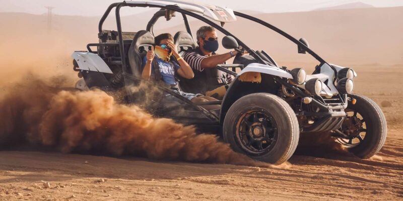 Private Buggy Riding in the Palm Trees of Marrakesh - Flexible Booking and Cancellation Policy
