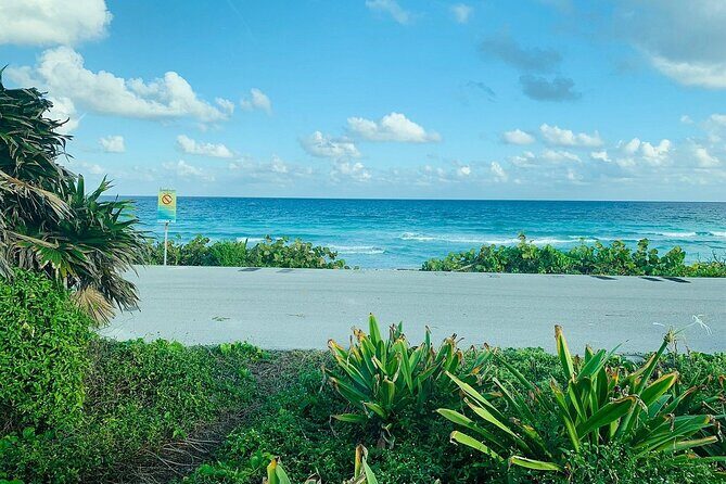 Private Buggy Tour in Cozumel, Snorkel & Lunch: All Inclusive - The Sum Up