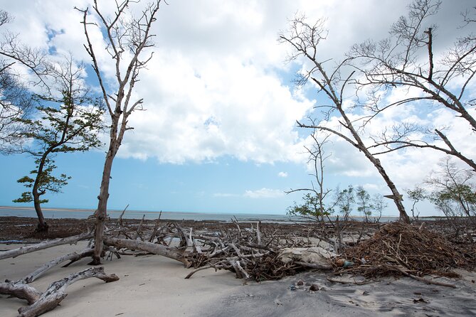 Private Buggy Tour To Tatajuba Beach - Safety Considerations