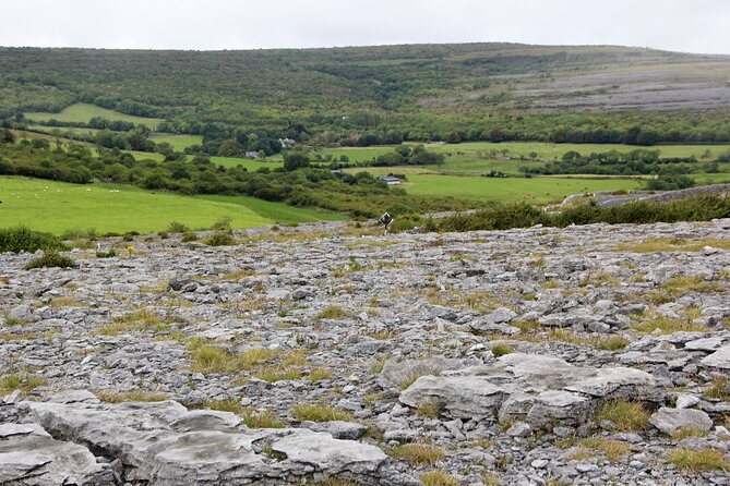 Private Burren and Cliffs of Moher Full Day Tour - Tour Guide Professionalism