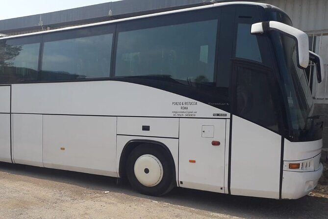 Private Bus from Trieste Cruise Port to Venice, piazzale Roma - Why Choose This Private Transfer?