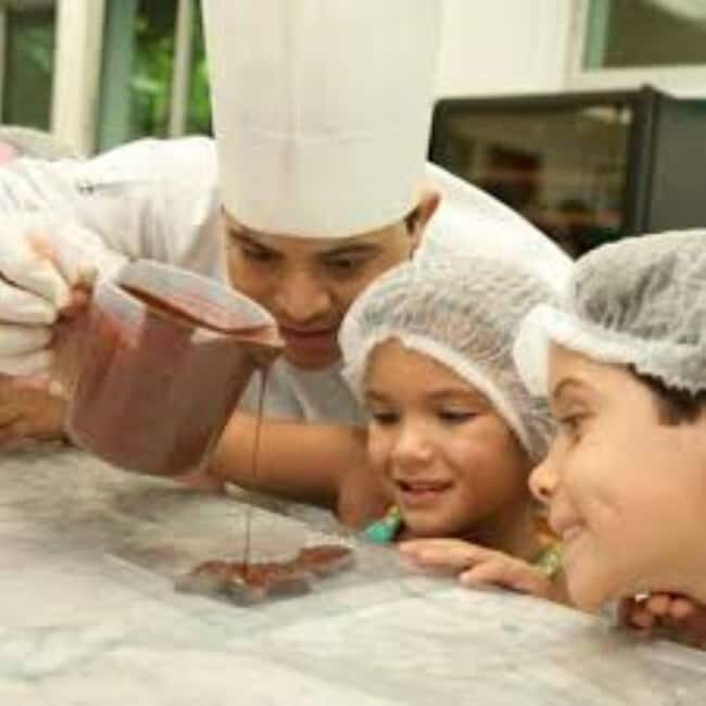 Private: Cacao Plantation Tour with Lunch & Tasting - Key Points