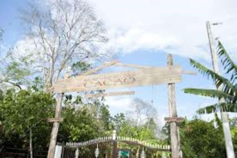 Private: Cacao Plantation Tour with Lunch & Tasting - Who Will Love This Tour?