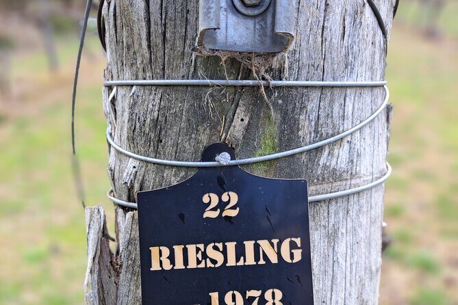 Private Canberra Winery Tour with lunch - Practical Details: Making the Most of Your Day