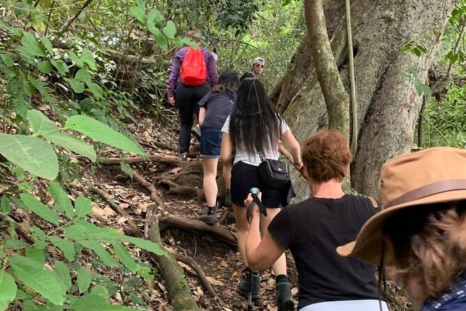 Private Canoeing, Cycling, Coffee and Hiking Tour in Lake Duluti. - Guest Reviews
