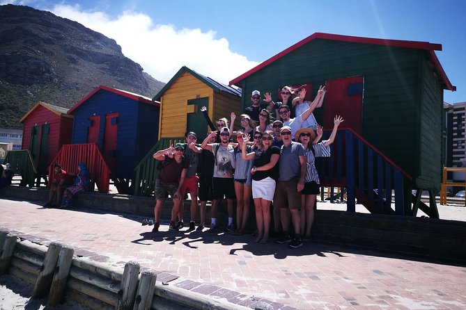 Private Cape Peninsula Tour - Tips for Travelers