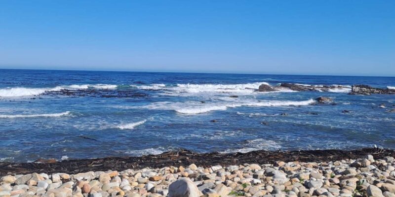Private Cape Peninsula Tour Including Penguins - Group Size and Accessibility