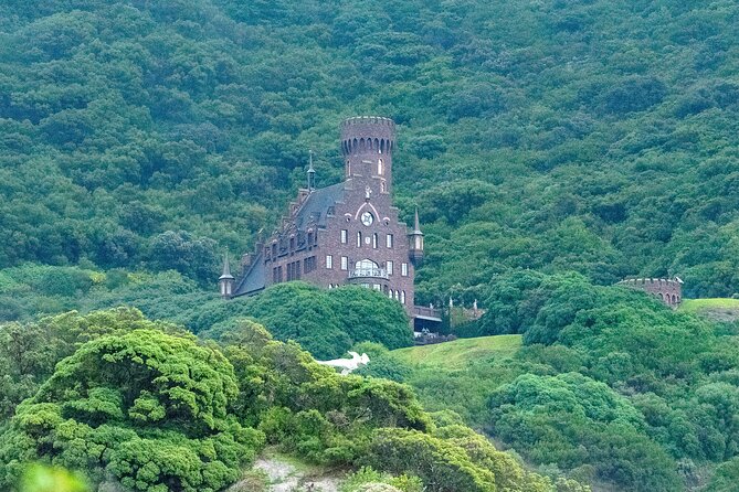 Private Cape Point / Peninsula Tour - Additional Considerations