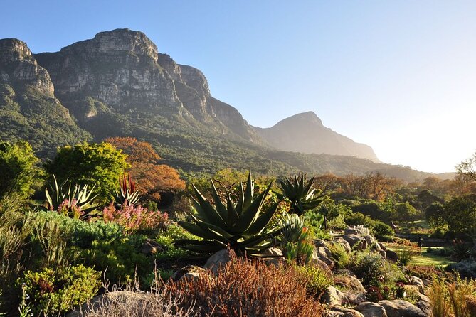 Private Cape Town City Tour Table Mountain With Wine Tasting - Traveler Reviews