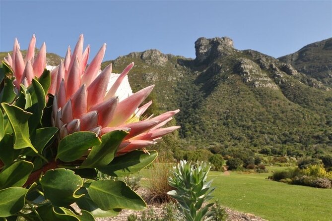 Private Cape Town City Tour Table Mountain With Wine Tasting - Frequently Asked Questions