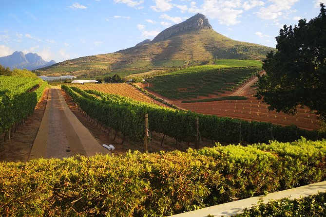 Private Cape Winelands Tour From Cape Town - Making the Most of the Experience