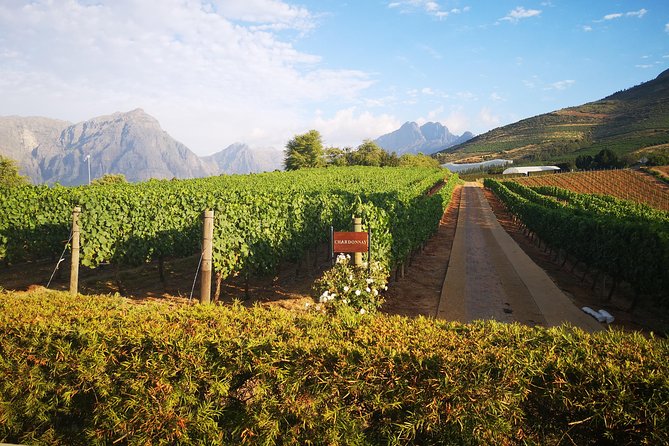 Private Cape Winelands Tour From Cape Town - Frequently Asked Questions