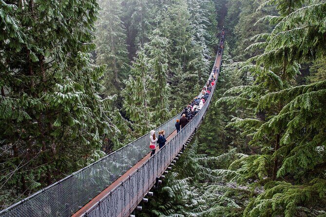 Private Capilano Bridge Grouse Mountain and Lighthouse Day Trip - What Travelers Say About the Tour