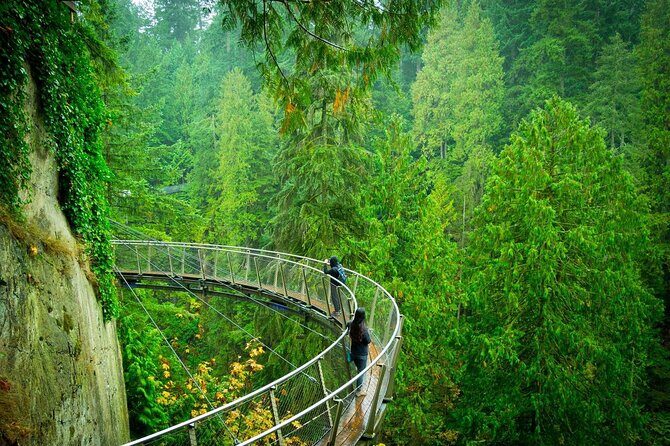 Private Capilano Bridge Grouse Mountain and Lighthouse Day Trip - Analyzing the Price and Overall Value