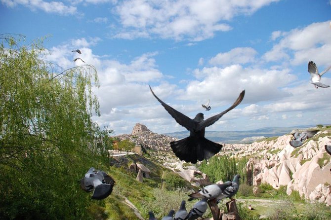 Private Cappadocia Red Tour - Reviews and Ratings