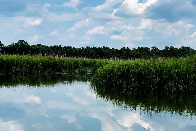 Private Captained Luxury Electric Boat Charter in Savannah - A Deep Dive into the Savannah Electric Boat Experience