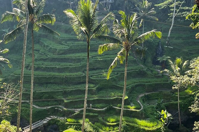 Private Car Charter Tour With Driver in Bali - Customer Experiences