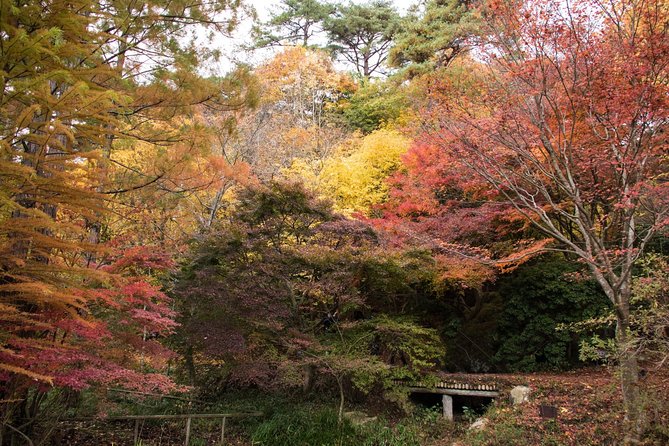 Private Car Day Trip to the Kobe Mountains, Gardens and Hot Springs From Osaka - Mount Rokko Cable Car