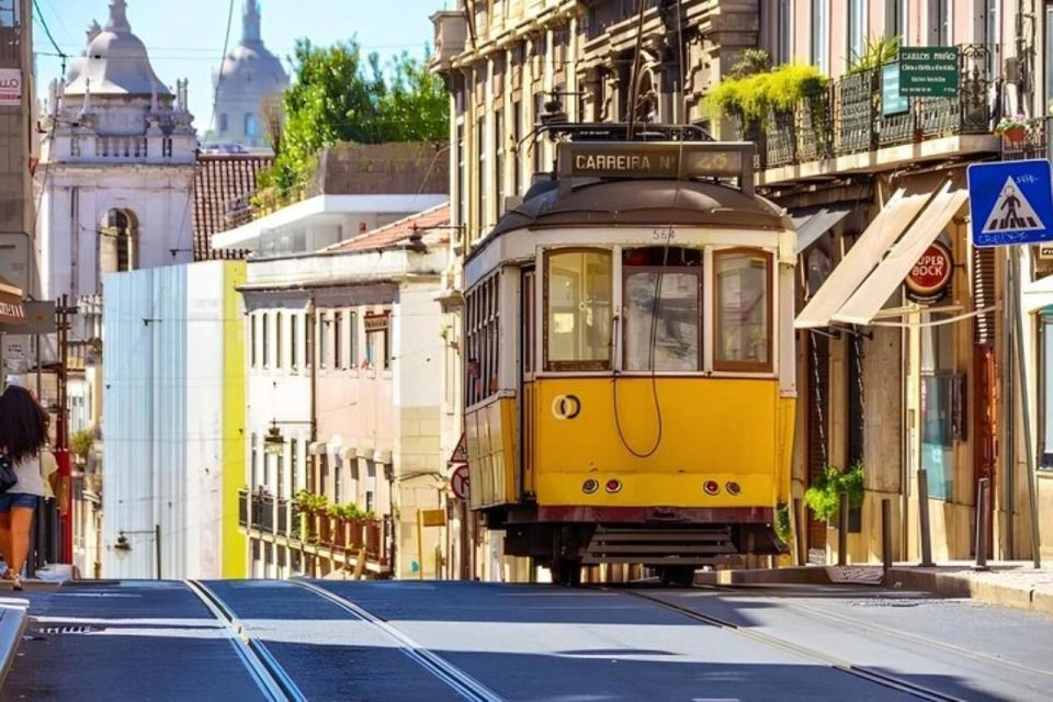 Private Car Half Day Tour - All Highlights - Highlights of the Tour