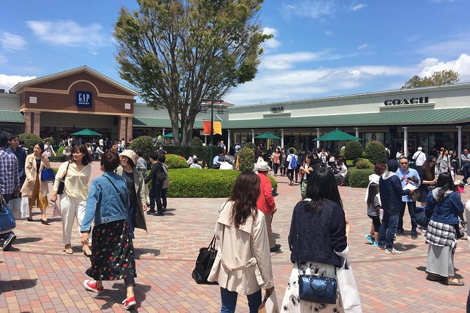 Private Car Mt Fuji and Gotemba Outlet in One Day From Tokyo - Itinerary Options and Customization