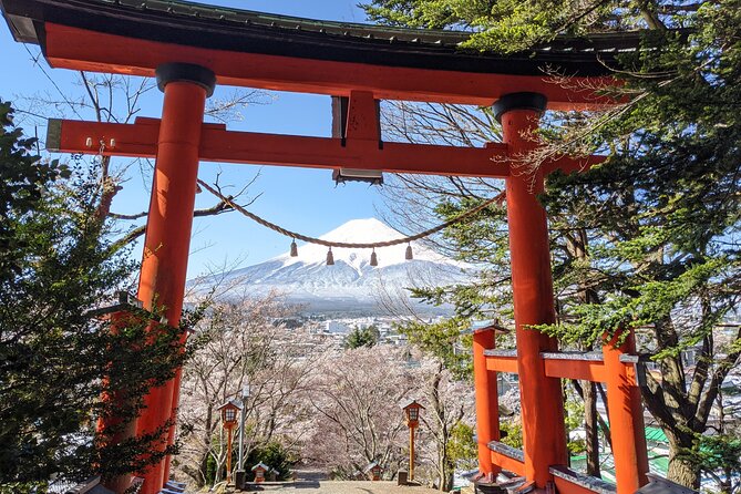 Private Car Mt Fuji and Gotemba Outlet in One Day From Tokyo - Accessibility and Additional Features