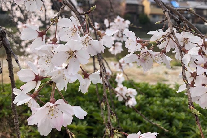 Private Car Tour in Kyoto (Up to 4) - Pickup and Transportation