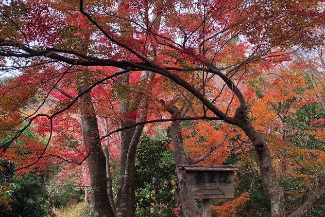 Private Car Tour in Kyoto (Up to 4) - Tour Policies