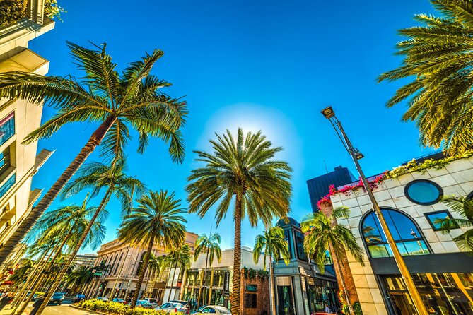 Private Car Tour LA Hollywood Beverly Hills Venice Santa Monica - Explore Los Angeles