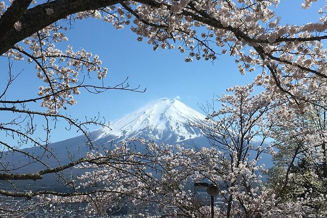 Private Car Tour to Mt. Fuji Lake Kawaguchiko or Hakone Lake Ashi - Scenic Lakes Exploration