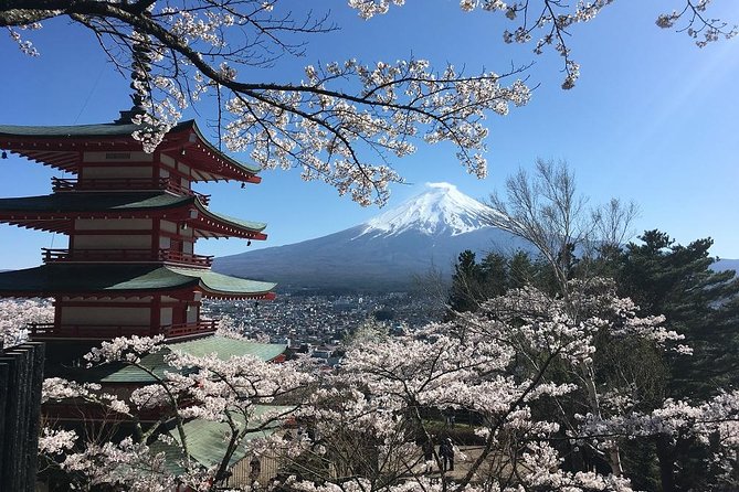 Private Car Tour to Mt. Fuji Lake Kawaguchiko or Hakone Lake Ashi - Cancellation and Refund Policy