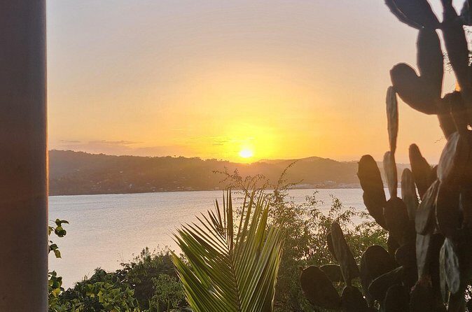 Private Car Tour to Negril Jamaica - An In-Depth Look at the Tour Experience