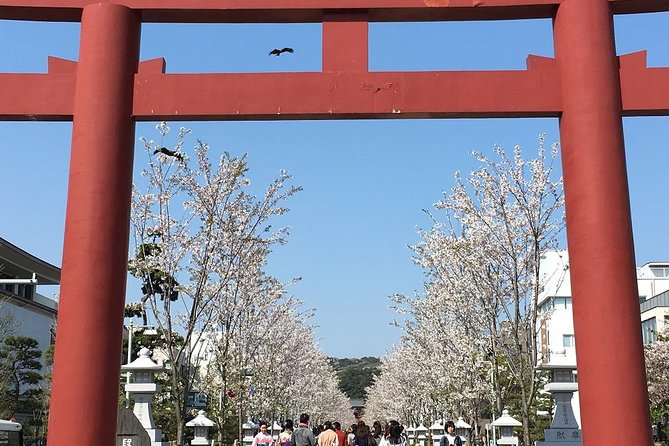Private Car Tour to See Highlights of Kamakura, Enoshima, Yokohama From Tokyo - Customizable Itinerary