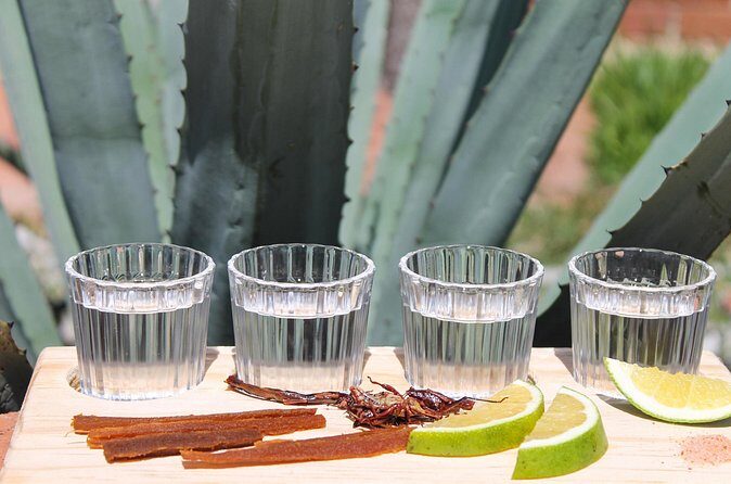 private car tour with driver - The Value and Who Will Love This Tour