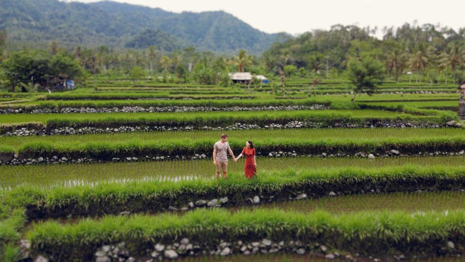 Private Car Tour With Guide - Luxury of Roomy Vehicles