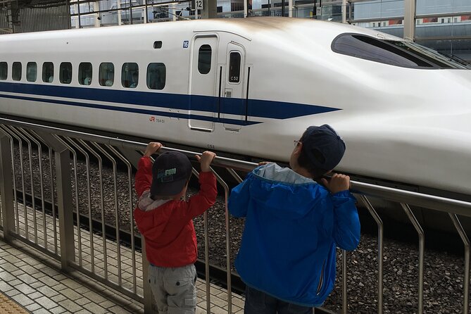 Private Car Transfer From Narita Airport to Tokyo - Explore Tokyo With Ease