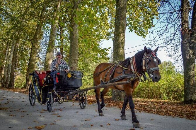 Private Carriage Ride in Vrelo Bosne Nature Park - Key Points