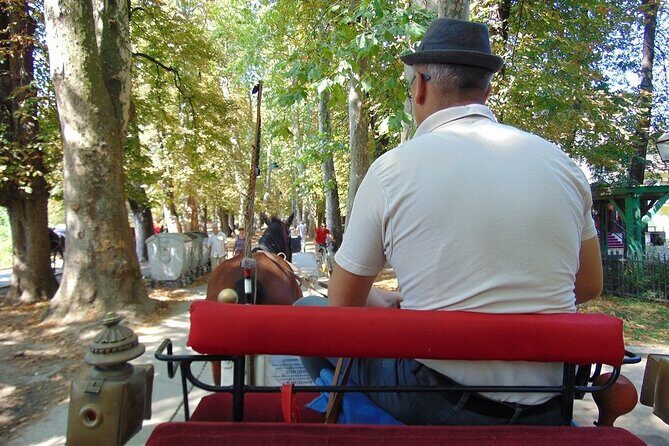 Private Carriage Ride in Vrelo Bosne Nature Park - Why This Tour Might Be Perfect for You