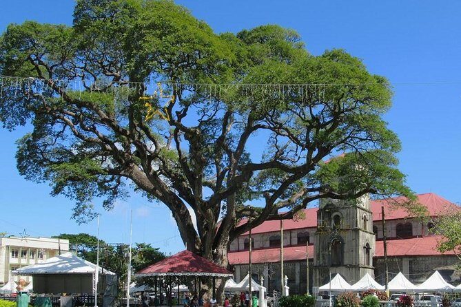 Private Castries or Shopping Tour/Transfers - Why Travelers Love It