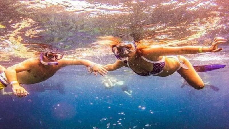 Private: Catalina Island Diving Tour with Lunch - An Overview of What to Expect