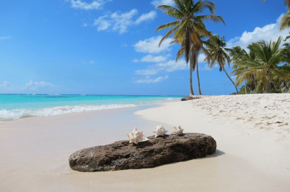 Private Catamaran Excursion to Isla Saona From Punta Cana - Frequently Asked Questions