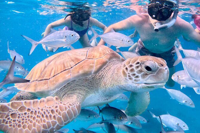 Private catamaran sail & snorkel - The Experience: What to Expect from Start to Finish