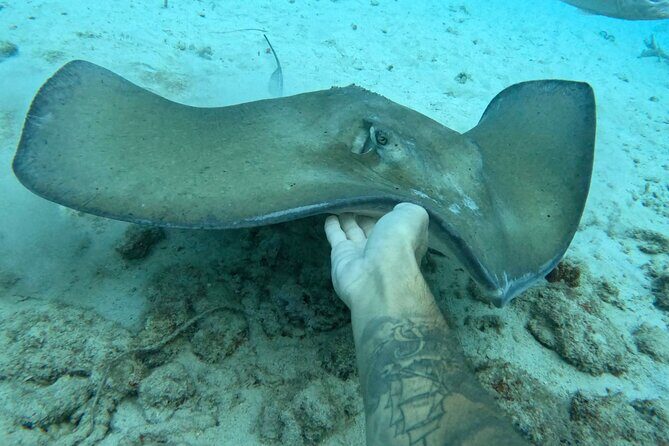 Private catamaran sail & snorkel - Final Thoughts