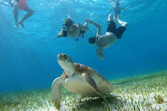 Private Catamaran Tour Charter Custom El Cielo and beach break - Key Points