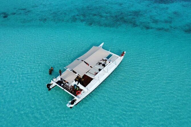 Private Catamaran Tour Charter Custom El Cielo and beach break - Authentic Feedback from Travelers