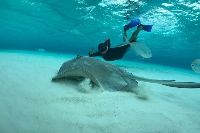 Private Catamaran Tour Charter Custom El Cielo and beach break - FAQ