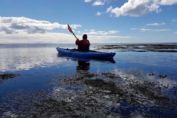 Private Catania Kayak Tour: River or Sea  - Sicily - Key Points