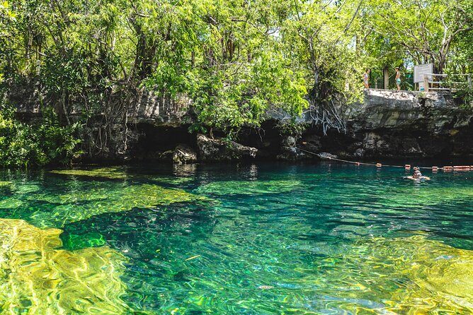 Private Cave Cenote, Open Cenote and Lunch Tour - Who Will Love This Tour?