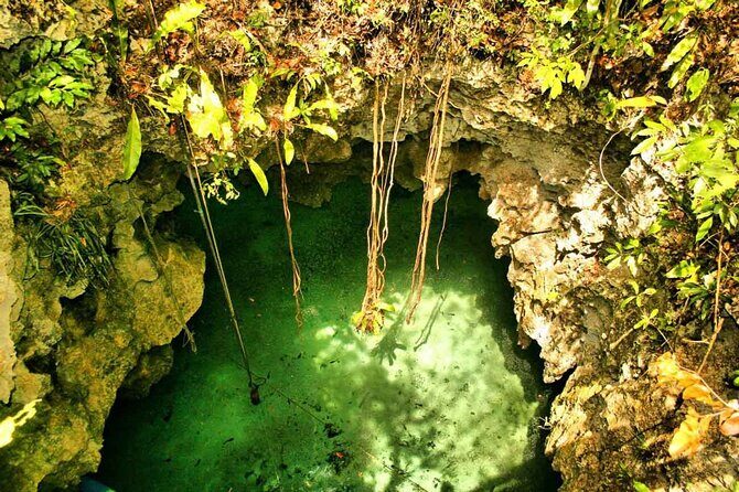 Private Cave Cenote, Open Cenote and Lunch Tour - FAQ