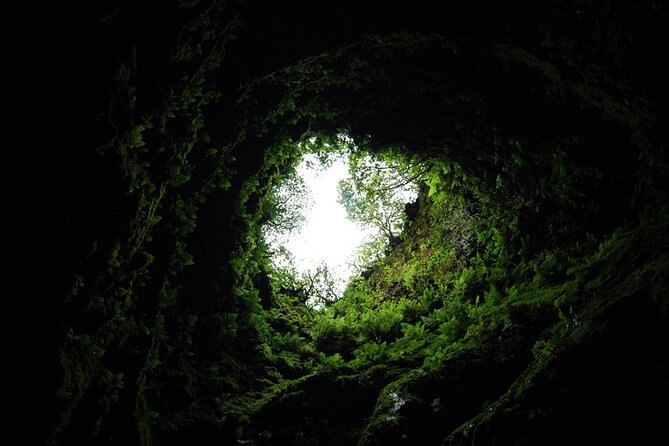 Private Caves Tour With a Geologist - Meeting and Pickup Details